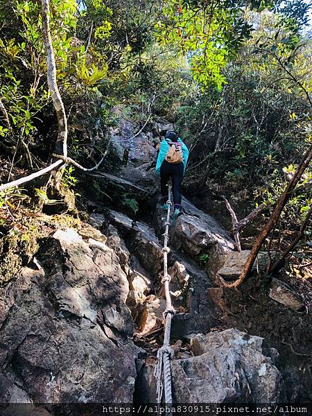 20201101 鳶嘴稍來步道_201113_13.jpg