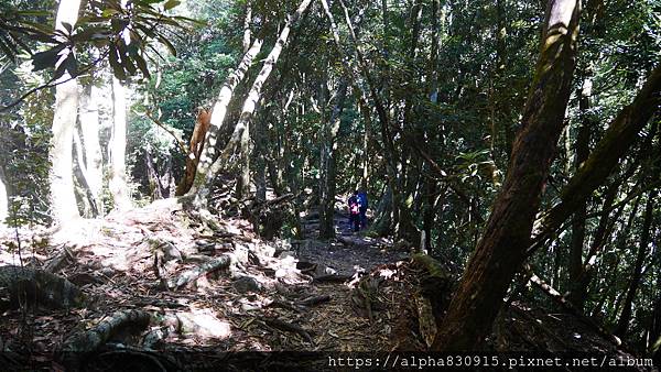 P1480086.JPG P1480086.JPG