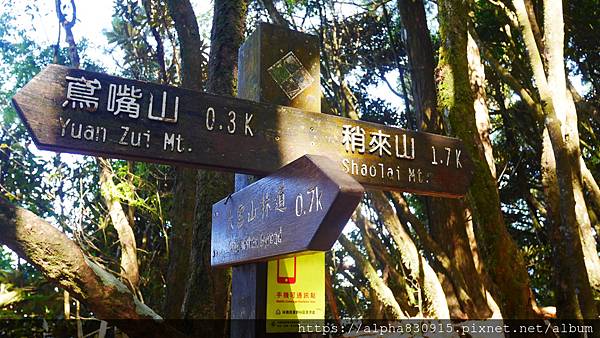 P1480181.JPG P1480181.JPG