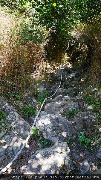 P1480196.JPG P1480196.JPG