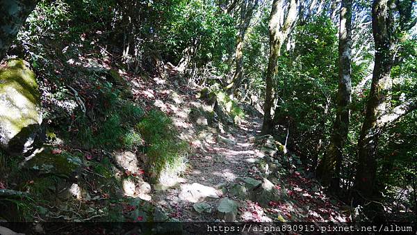 P1480206.JPG P1480206.JPG