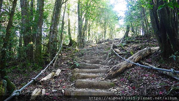 P1480211.JPG P1480211.JPG