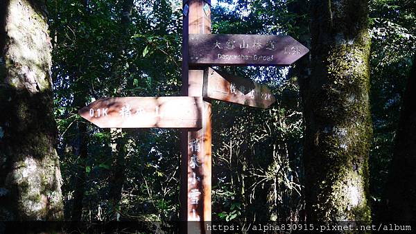 P1480230.JPG P1480230.JPG