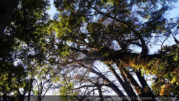 P1480250.JPG P1480250.JPG