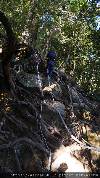 P1480252.JPG P1480252.JPG