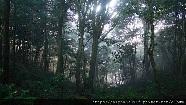 P1480254.JPG P1480254.JPG