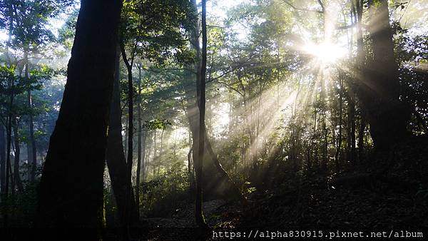 P1480257.JPG P1480257.JPG