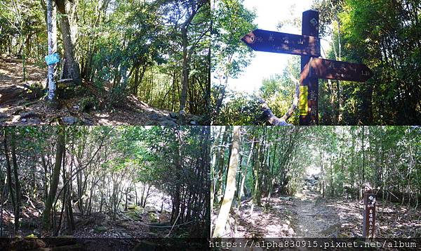 往稍來山.jpg 往稍來山.jpg