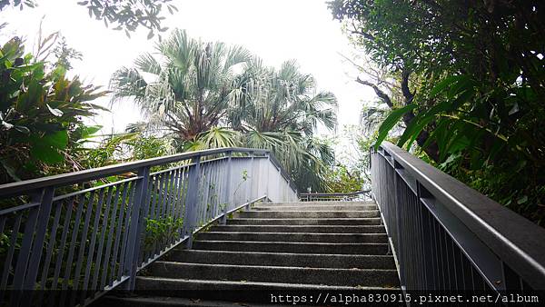 P1480604.JPG P1480604.JPG