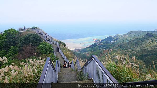 P1480609.JPG P1480609.JPG