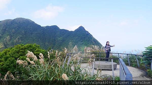 P1480613.JPG P1480613.JPG