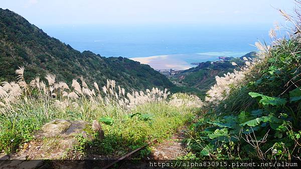 P1480616.JPG P1480616.JPG