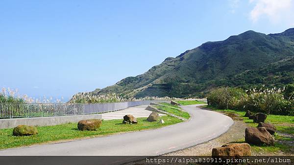 P1480618.JPG P1480618.JPG