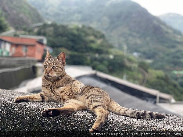 S__2383894.jpg S__2383894.jpg