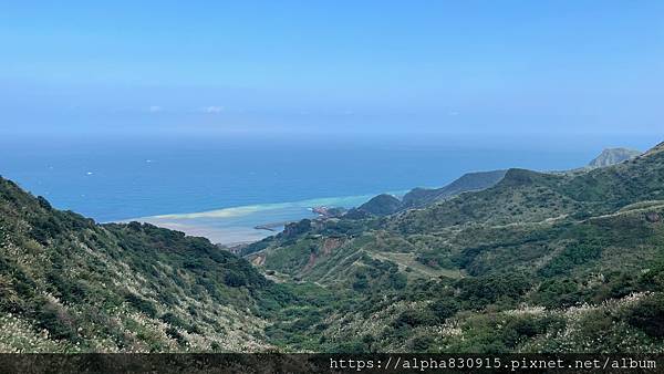 S__2383901.jpg S__2383901.jpg