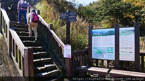 P1010572.JPG P1010572.JPG