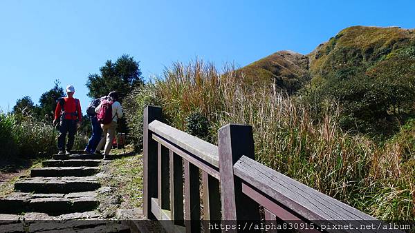 P1010574.JPG P1010574.JPG