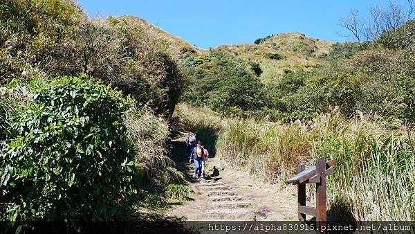 P1010576.JPG P1010576.JPG