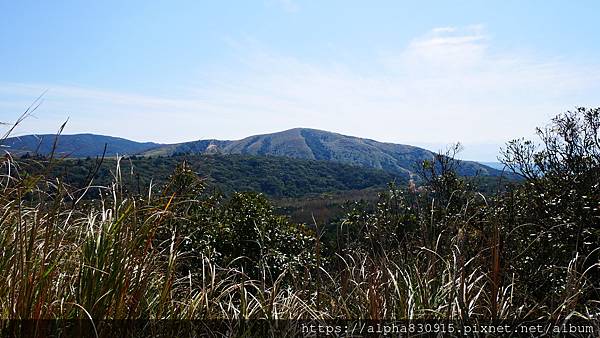 P1010577.JPG P1010577.JPG