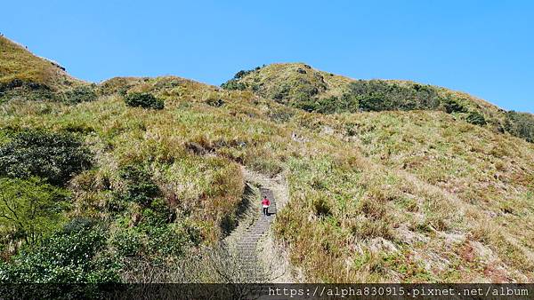 P1010579.JPG P1010579.JPG