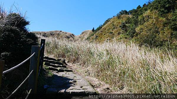 P1010585.JPG P1010585.JPG