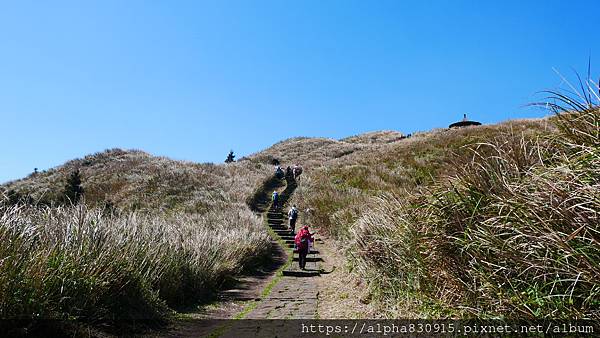 P1010587.JPG P1010587.JPG