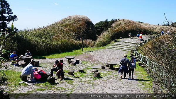 P1010592.JPG P1010592.JPG