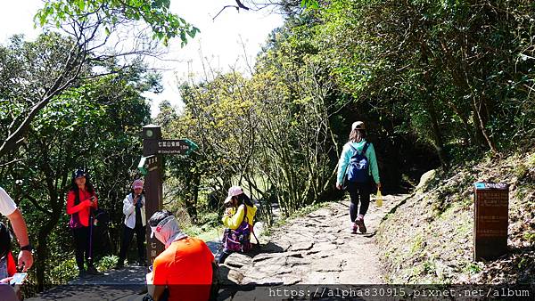 P1010595.JPG P1010595.JPG