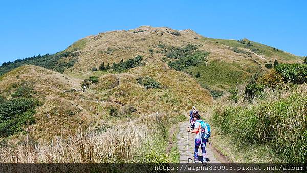 P1010599.JPG P1010599.JPG