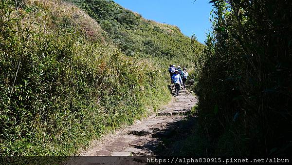 P1010601.JPG P1010601.JPG