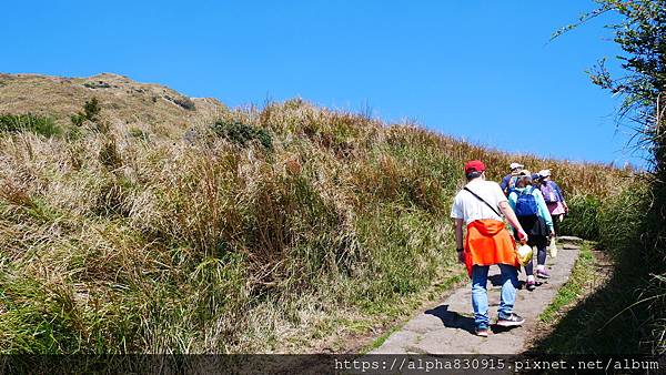 P1010597.JPG P1010597.JPG