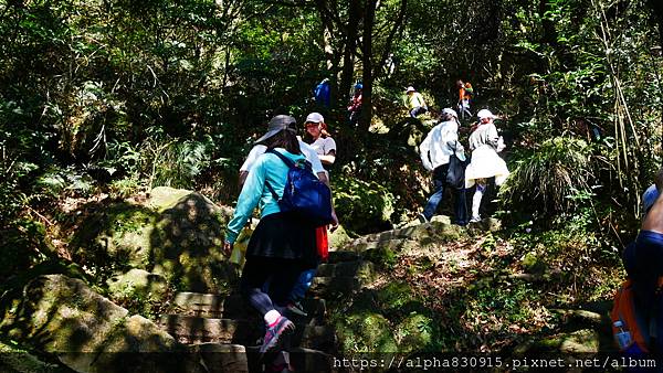 P1010602.JPG P1010602.JPG