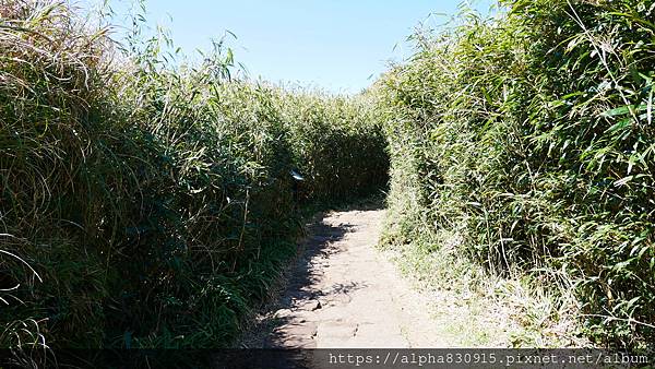 P1010610.JPG P1010610.JPG