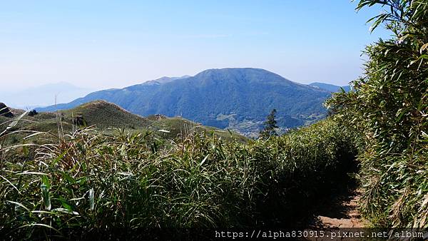 P1010635.JPG P1010635.JPG