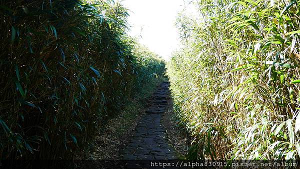 P1010636.JPG P1010636.JPG