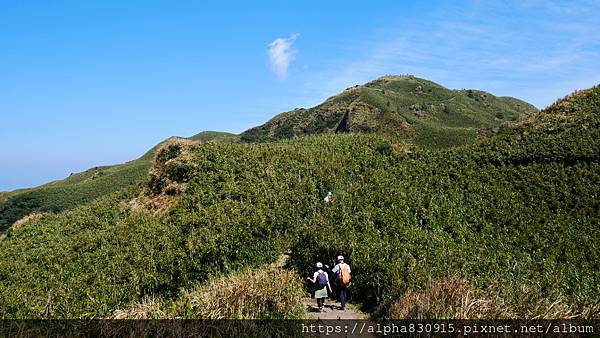 P1010638.JPG P1010638.JPG