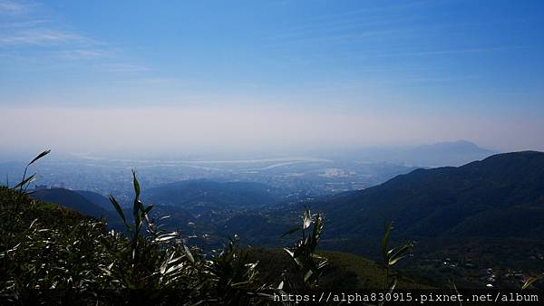 P1010639.JPG P1010639.JPG