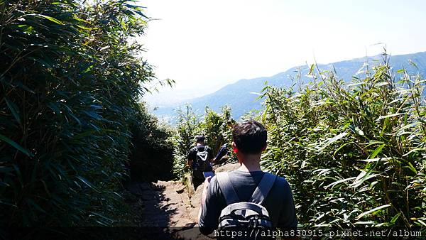 P1010640.JPG P1010640.JPG