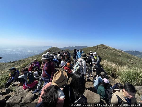 S__3416740.jpg S__3416740.jpg