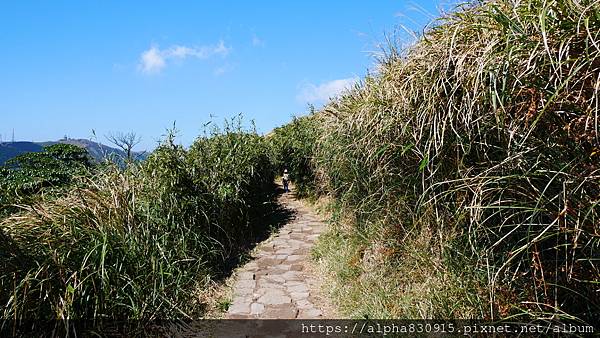 P1010646.JPG P1010646.JPG