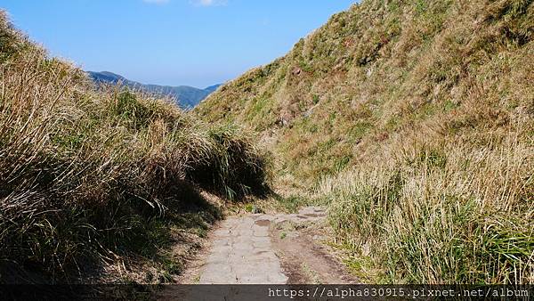 P1010649.JPG P1010649.JPG