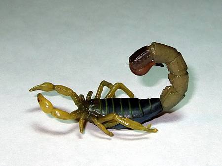 DSCF9931_TAKARA TOMY ARTS Mystery Creatures Encyclopedia Scorpions_調整大小.JPG