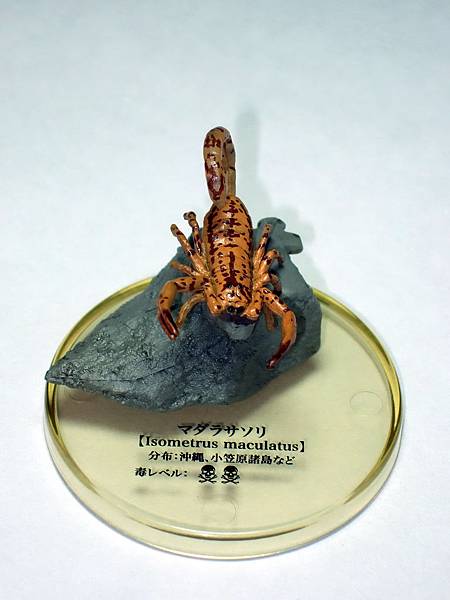 DSCF9946_TAKARA TOMY ARTS Mystery Creatures Encyclopedia Scorpions_調整大小.JPG