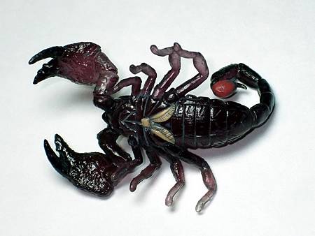 DSCF9966_TAKARA TOMY ARTS Mystery Creatures Encyclopedia Scorpions_調整大小.JPG