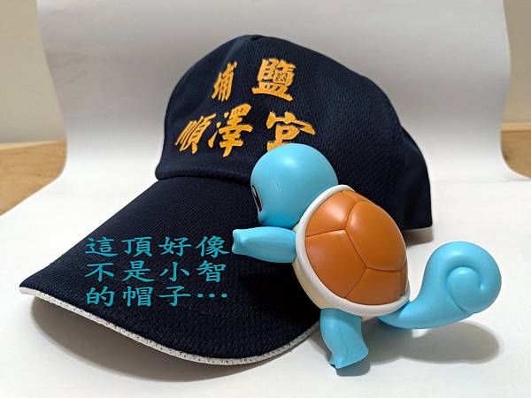 Squirtle_傑尼龜_P_20240225_222928_exposure_調整大小.jpg