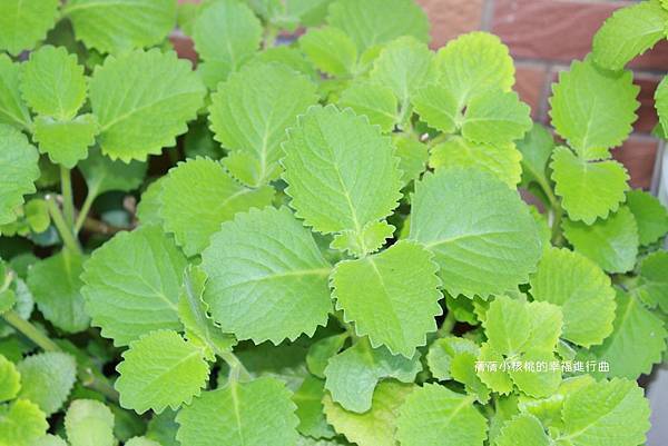 IMG_7113.JPG IMG_7113.JPG