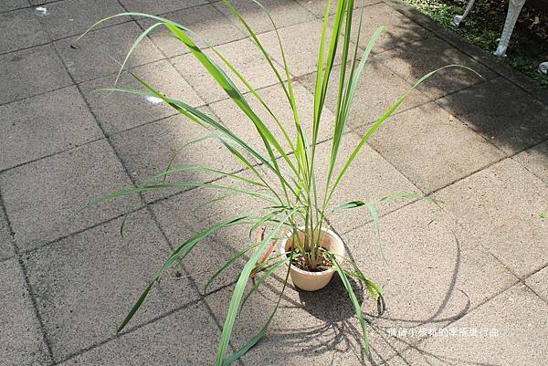 IMG_3973.JPG IMG_3973.JPG