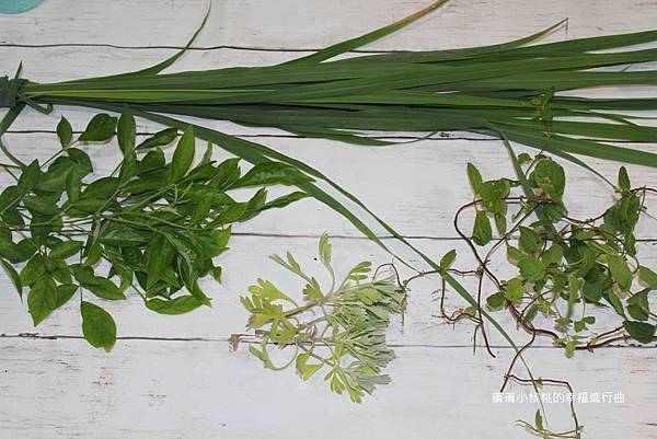 IMG_3983.JPG IMG_3983.JPG