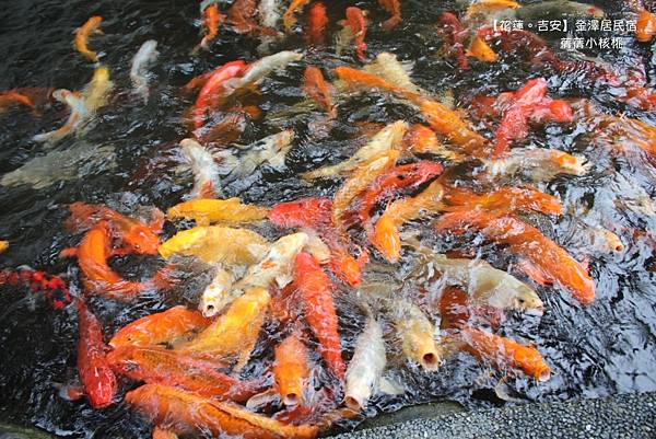 thumb_IMG_1072_1024.jpg thumb_IMG_1072_1024.jpg