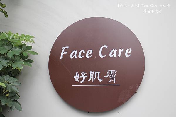 【台中西屯做臉推薦】Face  Care 好肌膚⎪無痛清除粉